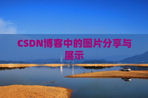 CSDN博客中的图片分享与展示